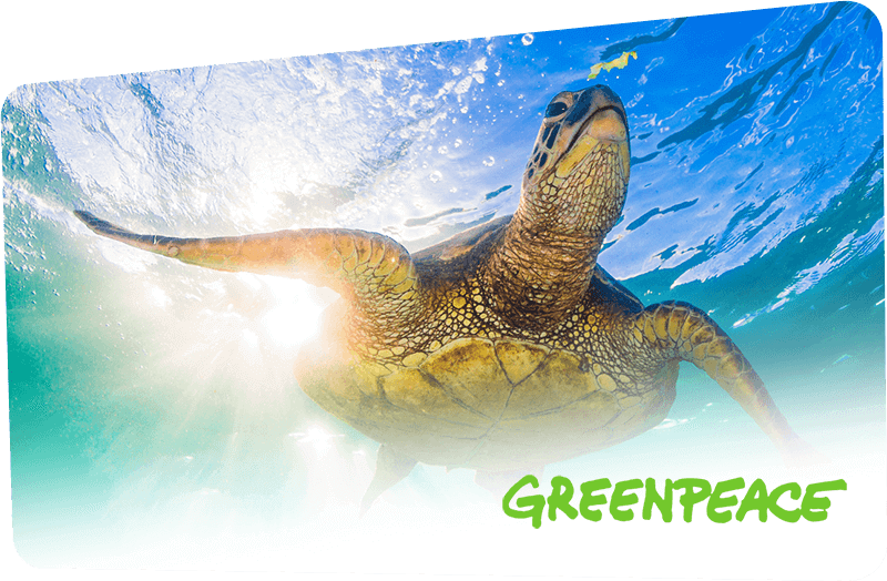 Greenpeace Nordic Greenpeace Nordic